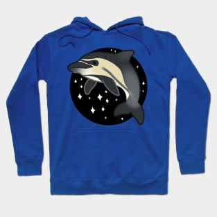 Common Dolphin Hoodie